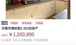 zsp市场价最新爆料,行情波动背后的秘密解析