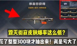 毁灭最新皮肤爆料表,炫酷特效，视觉盛宴即将开启！