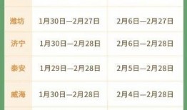 山东寒假最新爆料消息,校园生活新变化与假期安排大揭秘