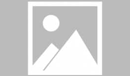 梦幻测试区最新玩法爆料,探索未知，畅享奇幻冒险之旅